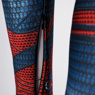 Picture of Peter Parker Cosplay Costume C08182
