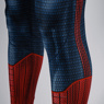 Picture of Peter Parker Cosplay Costume C08182