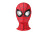 Immagine del costume cosplay di Peter Parker 2020 per bambini C08274