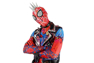 Bild von Across the Spider-Verse Hobart Hobie Brown Cosplay-Kostüm C08322