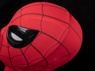 Picture of Far From Home Peter Parker Cosplay Helmet C08368