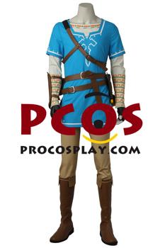 Immagine di Pronto per la spedizione The Legend of Zelda: Breath of the Wild Link Champion's Tunica Costume Cosplay C08021S