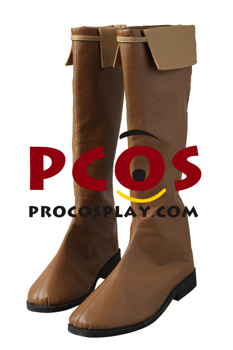 Picture of The Legend of Zelda: Breath of the Wild Link Champion's Tunic Cosplay Boots C08021S