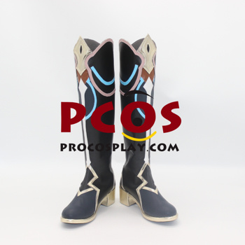 Bild von Honkai: Star Rail Dan Heng Cosplay Schuhe C08508