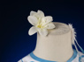 Picture of Ready to Ship Genshin Impact Traveler Lumine Cosplay Costume Upgraded Version C02895-AAA