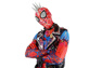 Picture of Ready to Ship Across the Spider-Verse Hobart Hobie Brown Cosplay Costume C08322