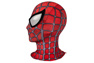 Immagine di Peter Parker Tobey Maguire Costume Cosplay Versione femminile C08588