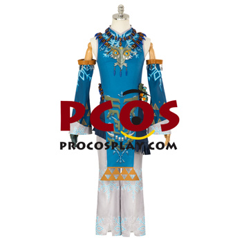 Immagine di The Legend of Zelda: Tears of the Kingdom Link Costume Cosplay C08566