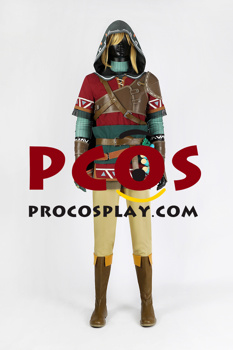 Immagine di The Legend of Zelda: Tears of the Kingdom Link Costume Cosplay C08645