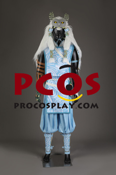 Photo de The Legend of Zelda: Tears of the Kingdom Link Costume Cosplay C08702