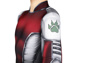 Picture of Titans Beast Boy Cosplay Costume 3D Jumpsuit for Kids C08703