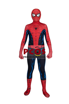 Picture of Peter Parker Cosplay Costume for Kids C08849