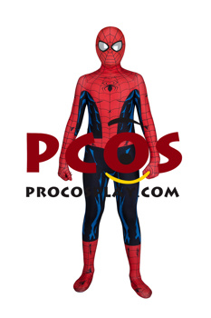 Picture of Peter Parker Cosplay Costume for Kids C08849