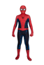 Picture of Peter Parker Cosplay Costume for Kids C08849