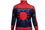 Picture of Peter Parker Cosplay Costume for Kids C08849