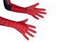 Picture of Peter Parker Cosplay Costume for Kids C08849