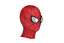 Immagine del costume cosplay di Peter Parker per bambini C08849