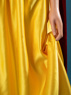 Picture of Deluxe Film Snow White Cosplay Costume mp003881