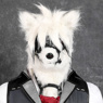 Immagine del costume cosplay Zenless Zone Zero Von Lycaon C08903