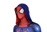 Picture of Peter Parker Cosplay Costume C08913