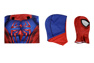 Photo dePeter Parker Cosplay Costume C08913