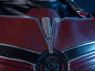 Photo de Ant-Man et la guêpe : Quantumania Scott Lang Cosplay Costume C07303 Version améliorée