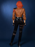 Picture of Lilith Cosplay Costume FY0008