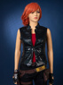 Picture of Lilith Cosplay Costume FY0008