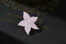 Picture of Game Identity V Psychologist Juliet Cosplay Costume C08934