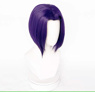 Picture of Teen Titans Raven Cosplay Wigs C09109 Dark Purple Central Parting Version