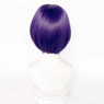 Picture of Teen Titans Raven Cosplay Wigs C09109 Dark Purple Central Parting Version