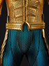 Picture of The Lost Kingdom Arthur Curry Cosplay Costume C09143 AAA Ultimate Version