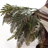 Picture of Baldur's Gate 3 Halsin Cosplay Costume C09164