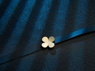Picture of Wuthering Waves Verina Cosplay Costume C09182