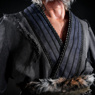 Picture of Game Black Myth: Wukong the Destined One Cosplay Costume C09193 Tiger Hide Loincloth Set