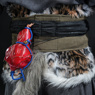 Picture of Game Black Myth: Wukong the Destined One Cosplay Costume C09193 Tiger Hide Loincloth Set