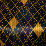 Picture of Ready to Ship Elemental Ember Lumen Cosplay Costume C08380