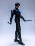 Picture of Titan Nightwing Dick Grayson Cosplay Costume mp005711