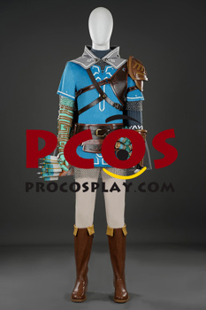 Picture of PRESALE The Legend of Zelda: Tears of the Kingdom Link Cosplay Costume Top Version C09219S