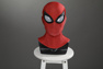 Picture of New Peter Parker Cosplay Costume C09247
