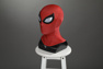 Picture of New Peter Parker Cosplay Costume C09247