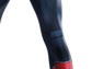 Picture of Captain America 4 Falcon Sam Wilson Cosplay Jumpsuit With Soles C09269