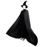 Picture of Wicked Elphaba Cosplay Costume Witch Version C09309