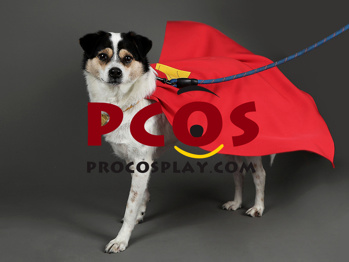 Picture of Krypto Dog Cosplay Costume C09312