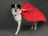 Picture of Krypto Dog Cosplay Costume C09312