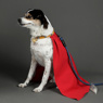 Picture of Krypto Dog Cosplay Costume C09312