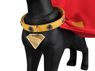 Picture of Krypto Dog Cosplay Costume C09312