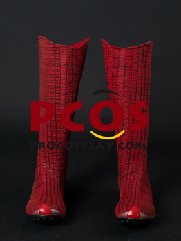 Picture of Amazing Peter Parker Cosplay Shoes C09221S