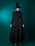 Picture of Wicked Elphaba Cosplay Costume Embossed Version C09319