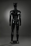 Picture of 1992 Catwoman Selina Kyle Cosplay Costume Updated Version C09326